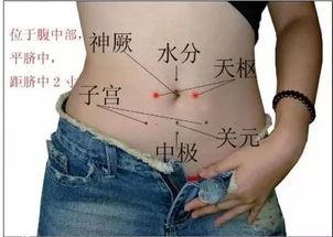 揉腹视频,健康生活新体验