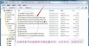 视频文件名,精彩瞬间与深刻内涵一网打尽