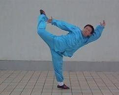 十路弹腿视频,传统武术的活力展现与技巧解析