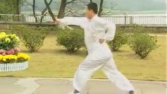 十路弹腿视频,传统武术的活力展现与技巧解析