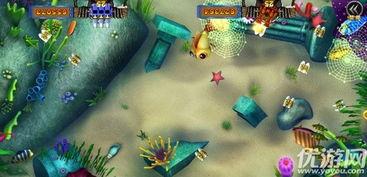 东海捕鱼视频,渔民生活与海洋生态的和谐共舞