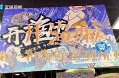 东海捕鱼视频,渔民生活与海洋生态的和谐共舞