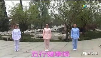 五行健康操视频,调和身心,五行养生之道