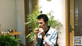 陶笛奇遇记视频,穿越时空的旋律之旅