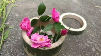 野花鲁视频
