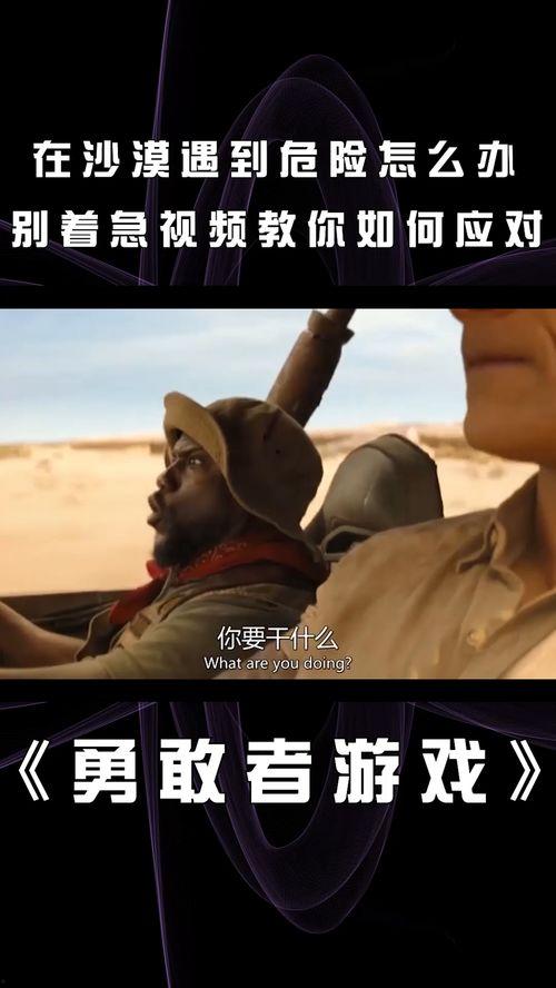 危险视频,揭秘网络暗流涌动的安全隐患